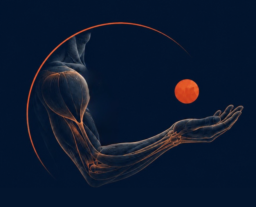 Anatomical illustration of an arm and open hand, cupped beneath a glowing orb