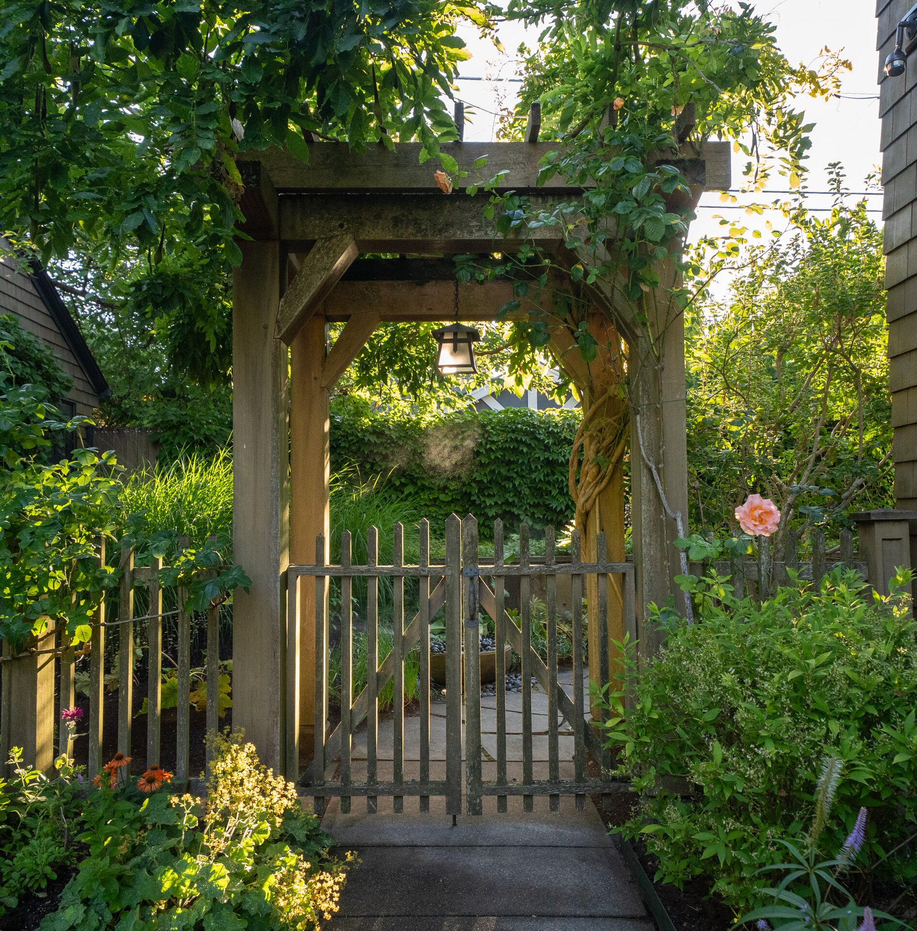 Garden gate at the entrance to the Seattle practice